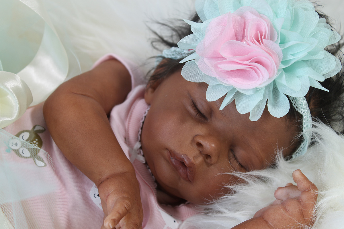 lisa's reborn baby dolls